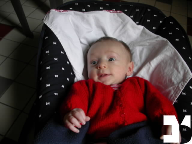 Parenti - Julian - 20041111 15.34 - cresce - 111-ALF.JPG